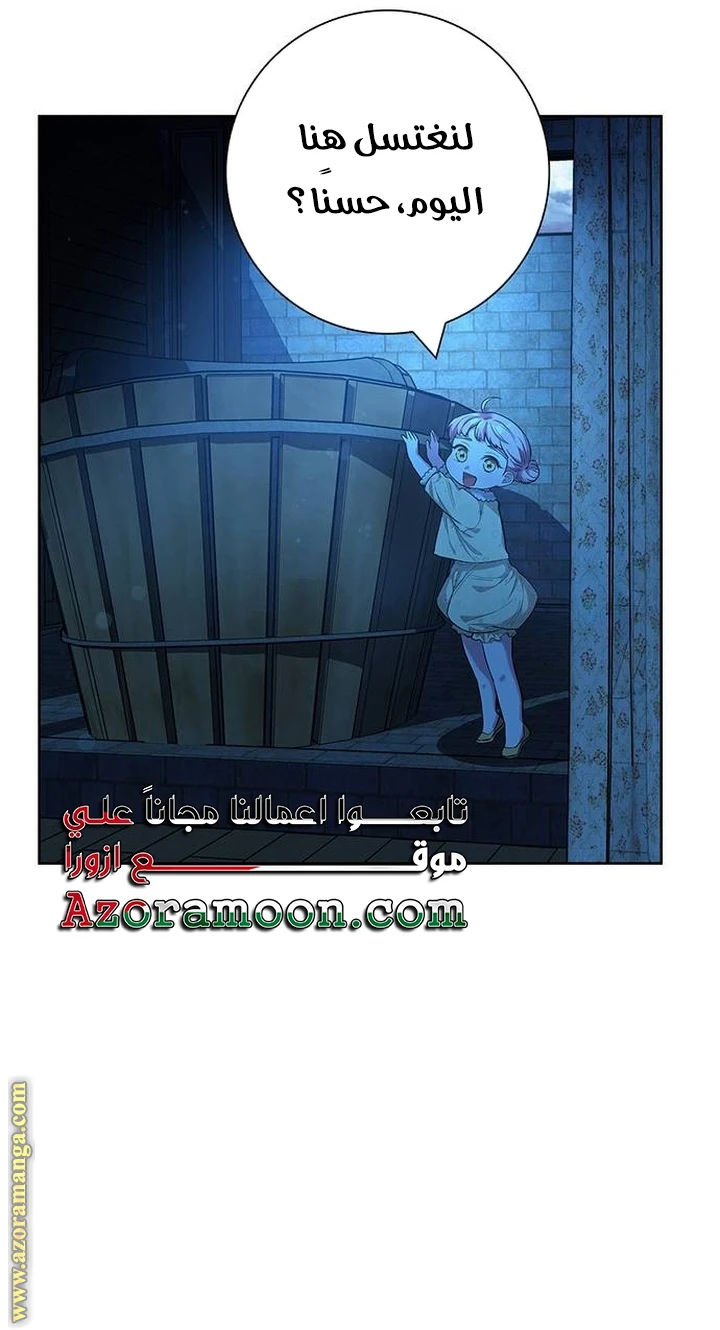 الصفحة 29