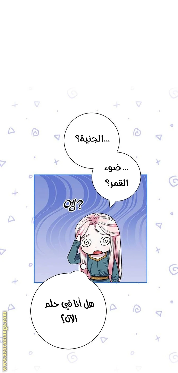 الصفحة 31