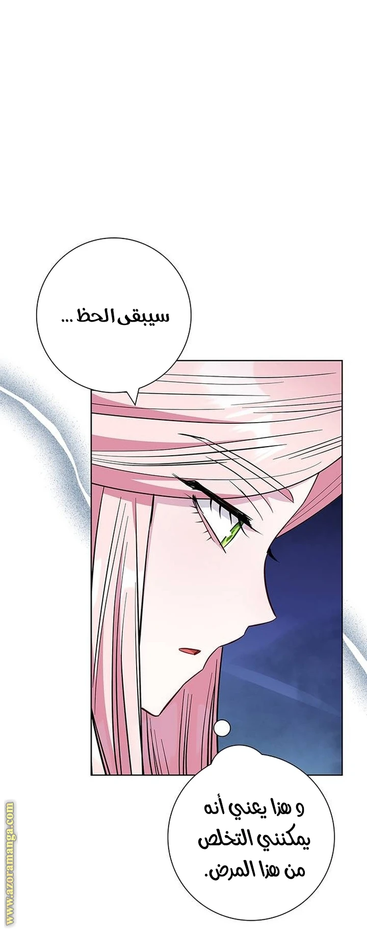 الصفحة 46