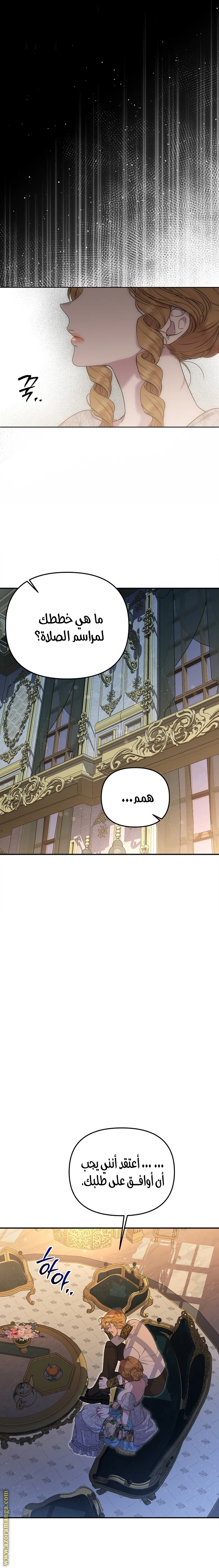 الصفحة 17