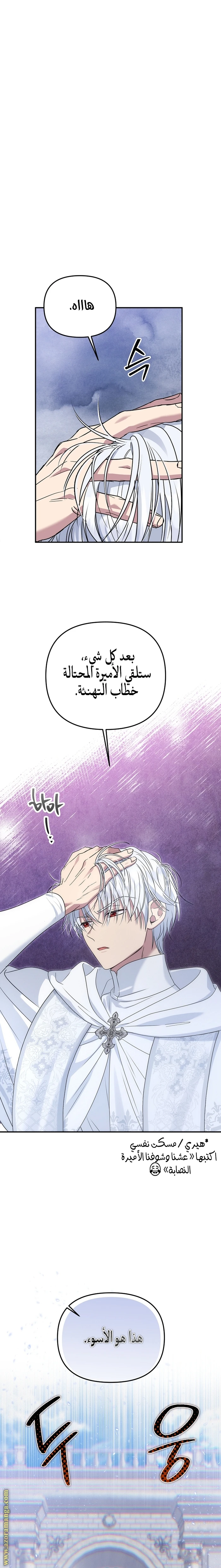 الصفحة 25
