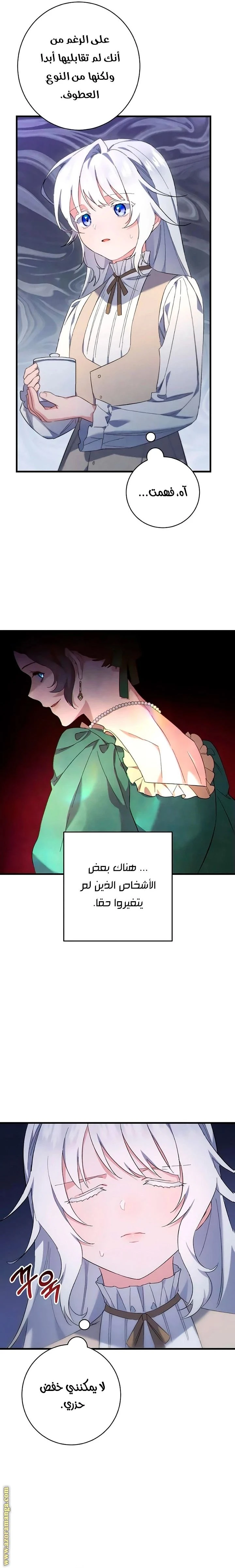 الصفحة 17