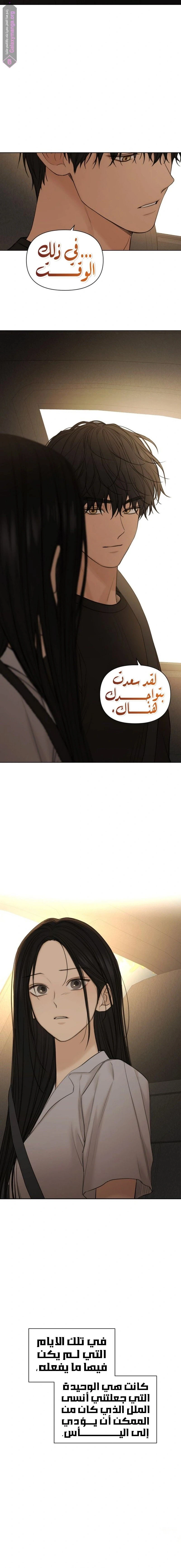 الصفحة 17
