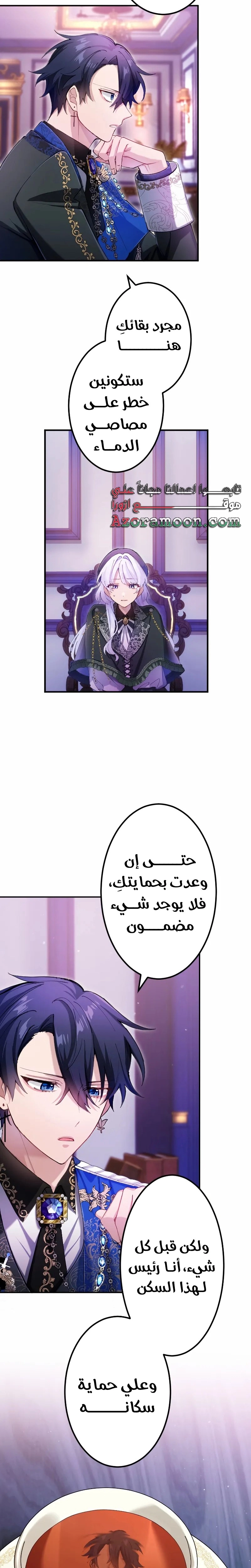 الصفحة 13