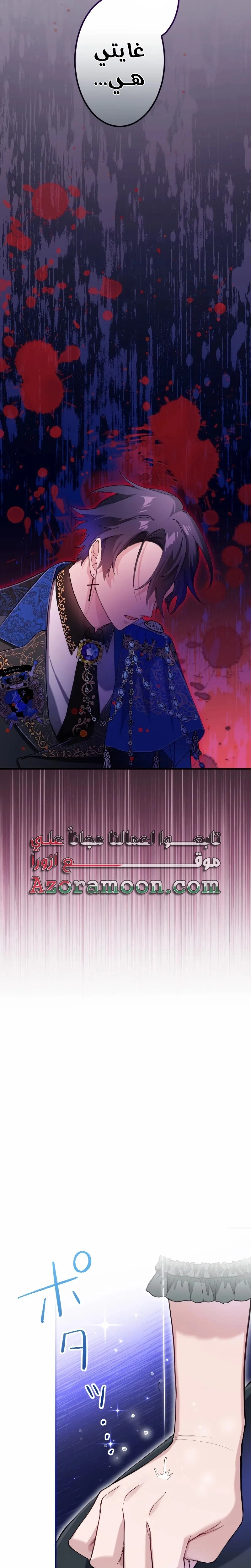 الصفحة 26