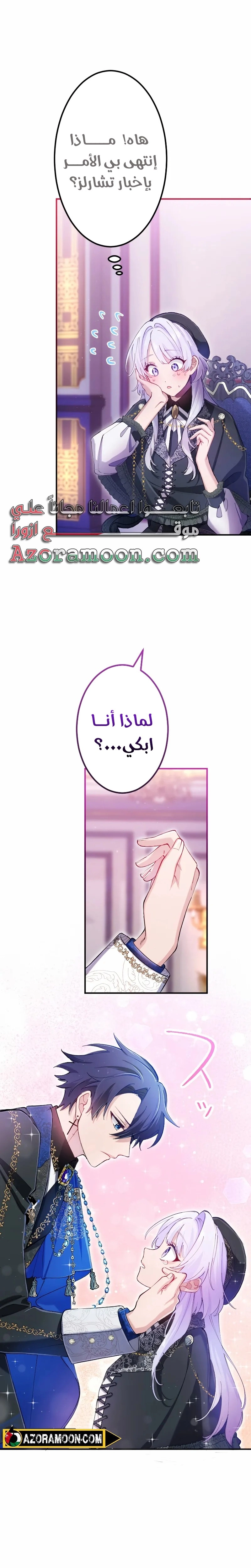 الصفحة 29