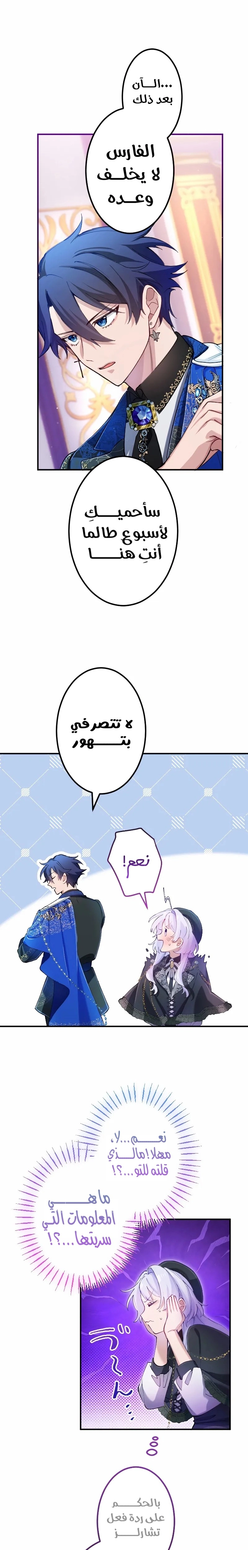 الصفحة 31