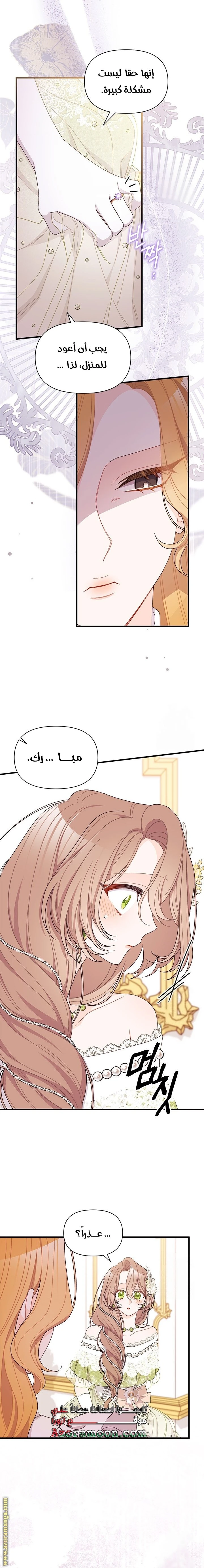 الصفحة 17