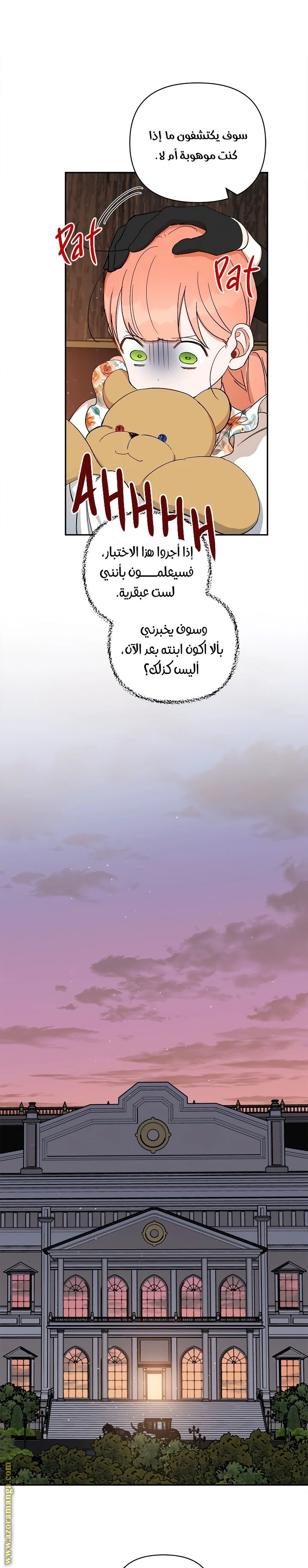 الصفحة 17