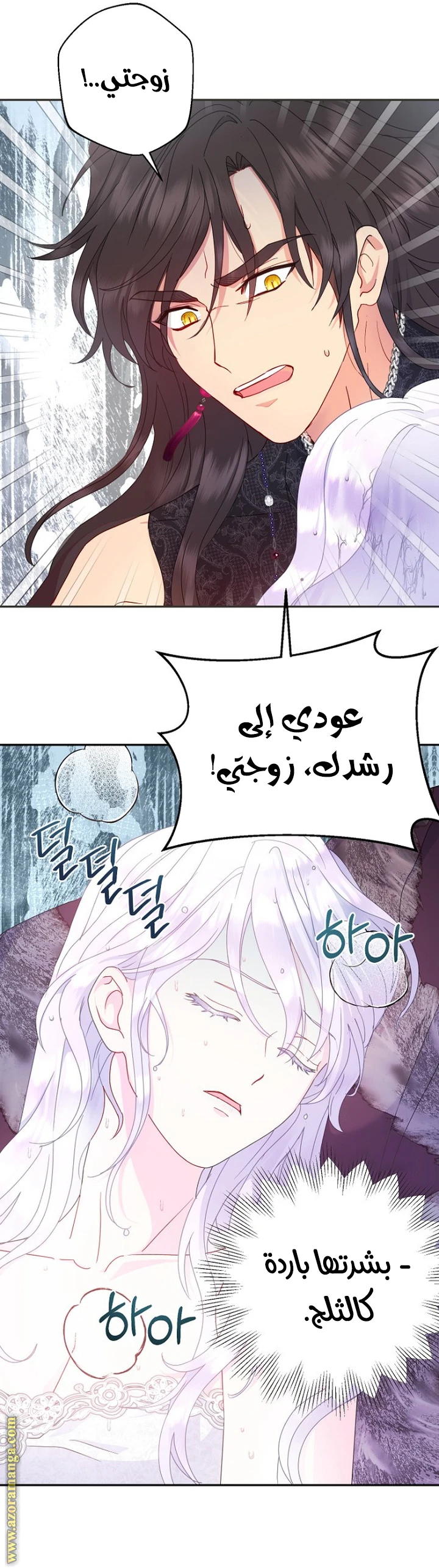 الصفحة 19