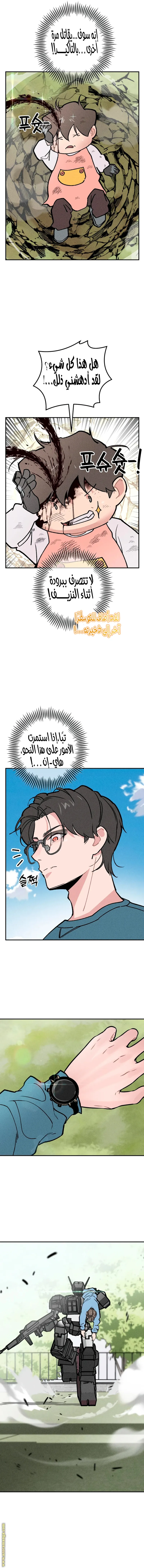 الصفحة 13