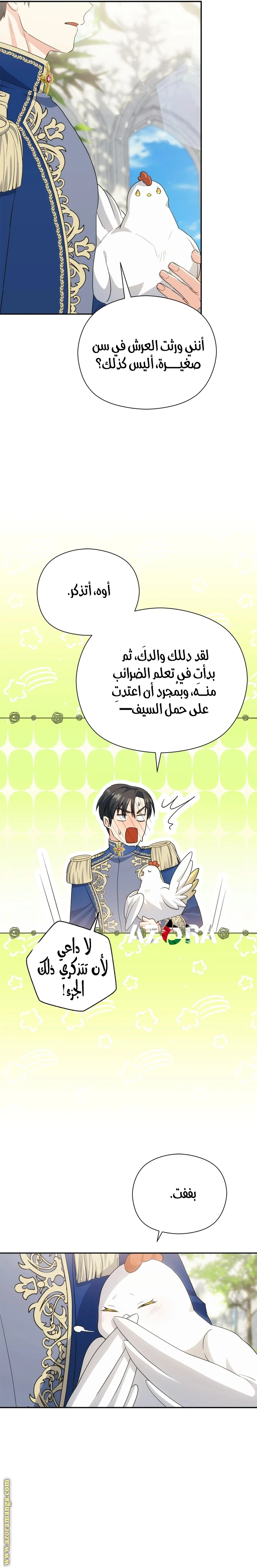 الصفحة 11