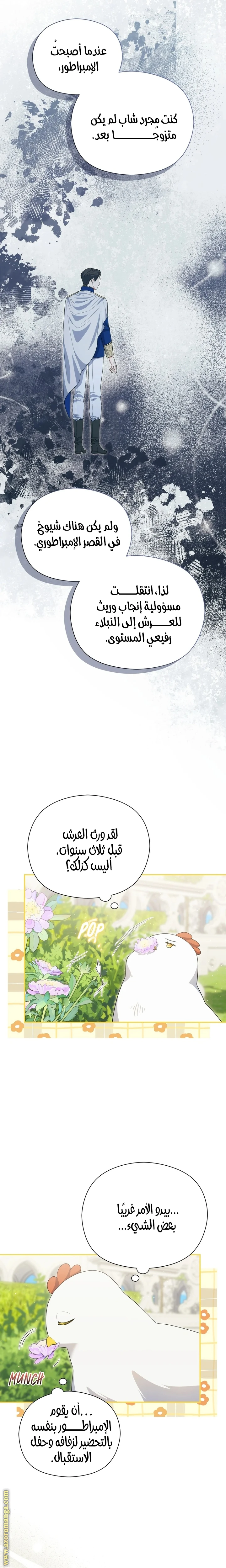 الصفحة 13