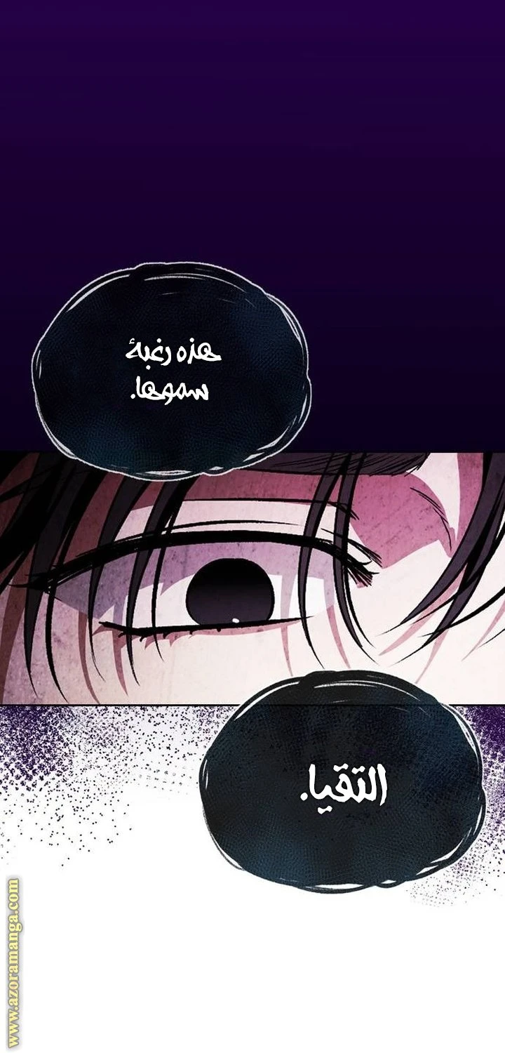 الصفحة 27