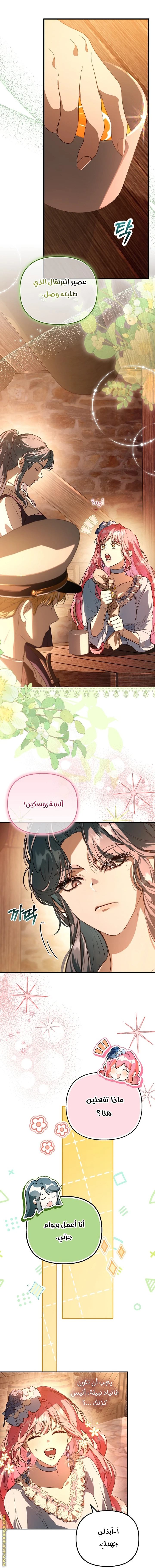 الصفحة 17