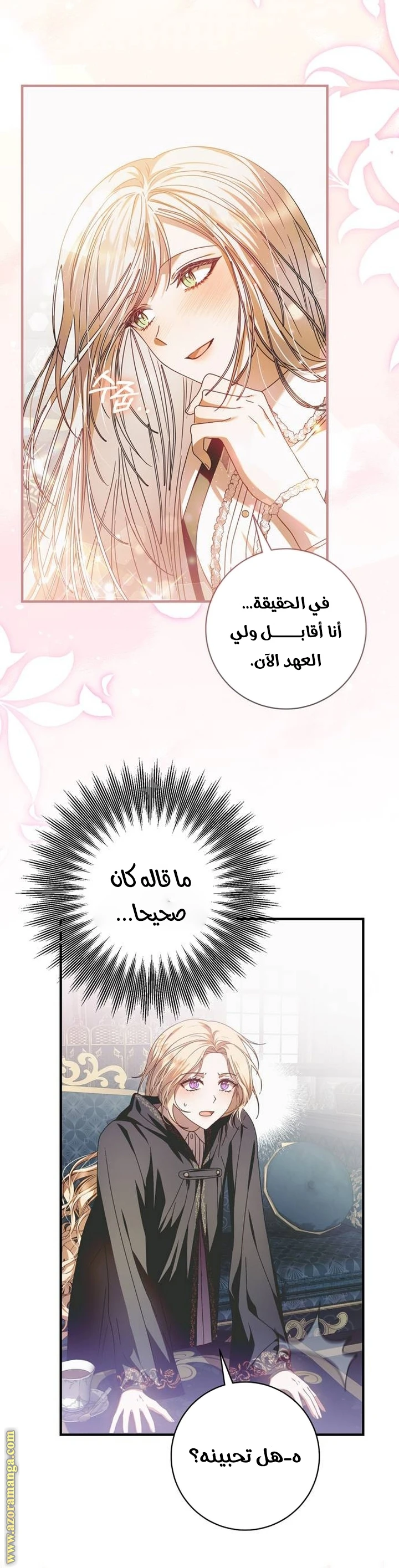 الصفحة 17