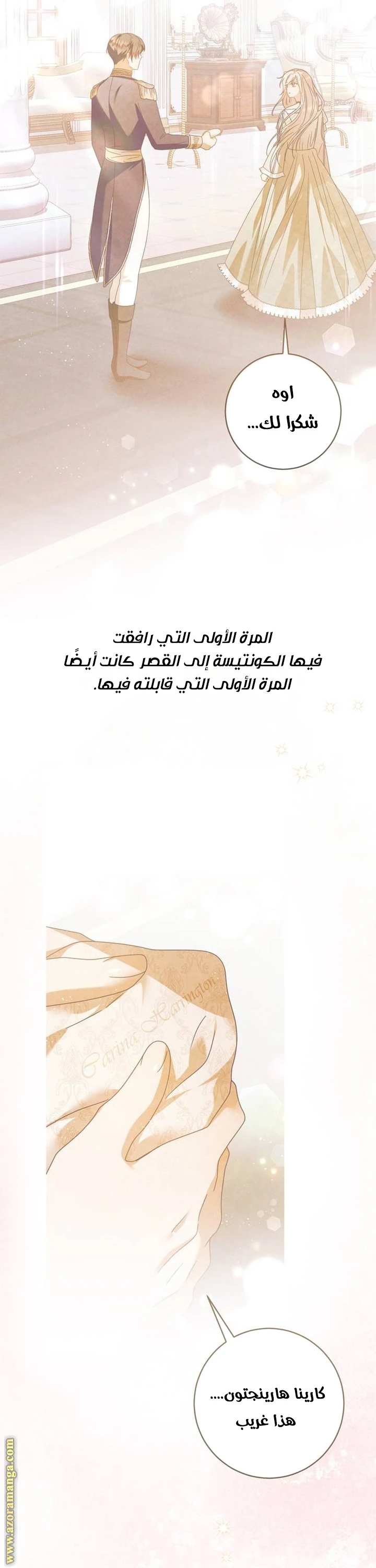 الصفحة 25