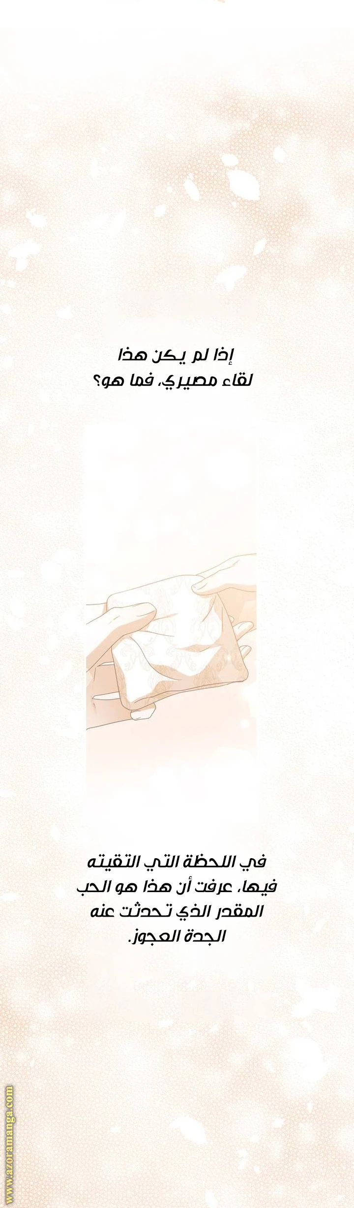 الصفحة 27