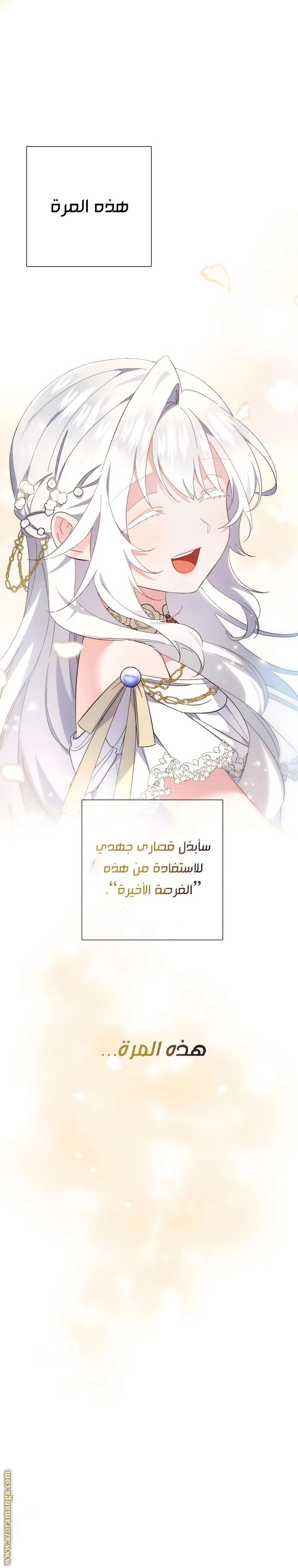 الصفحة 26