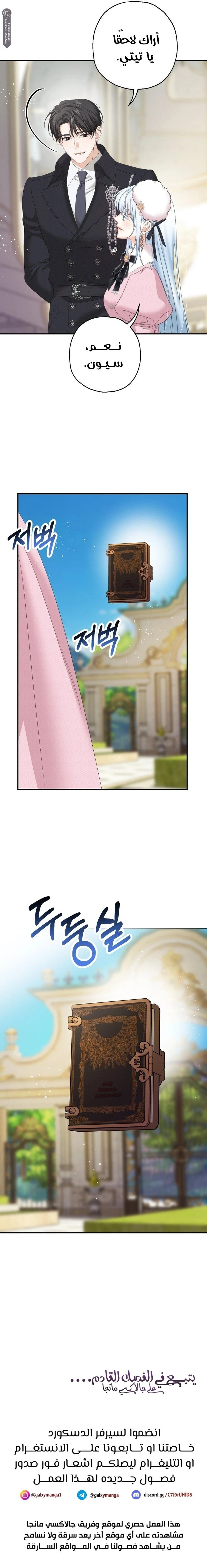 الصفحة 13