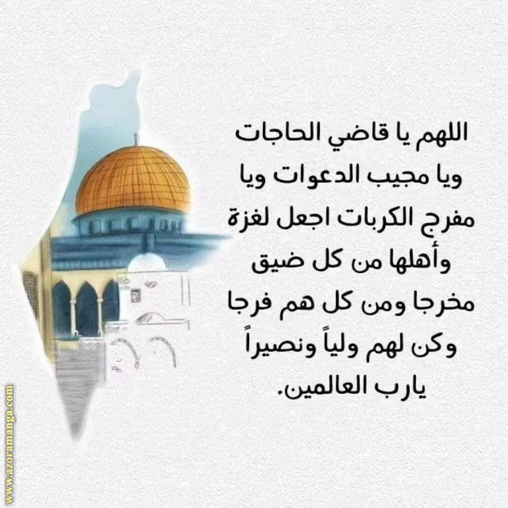 الصفحة 27