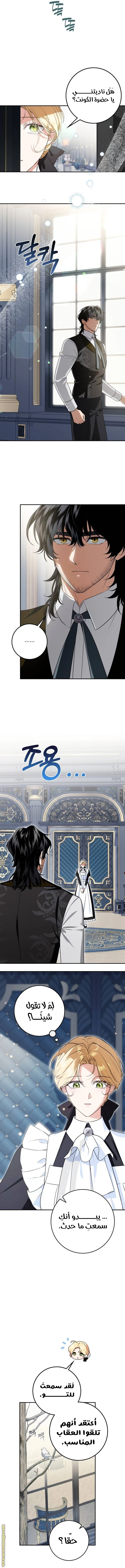 الصفحة 16