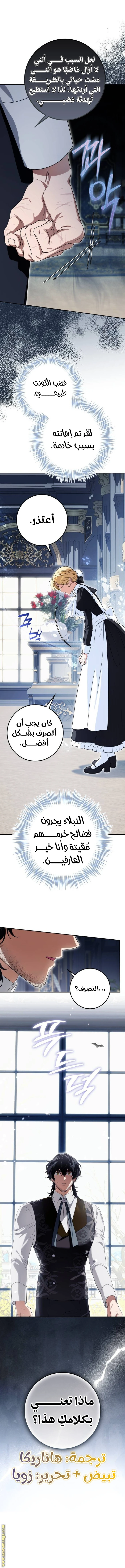 الصفحة 17