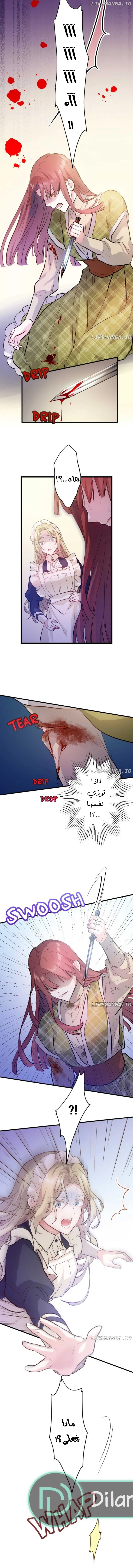 الصفحة 8
