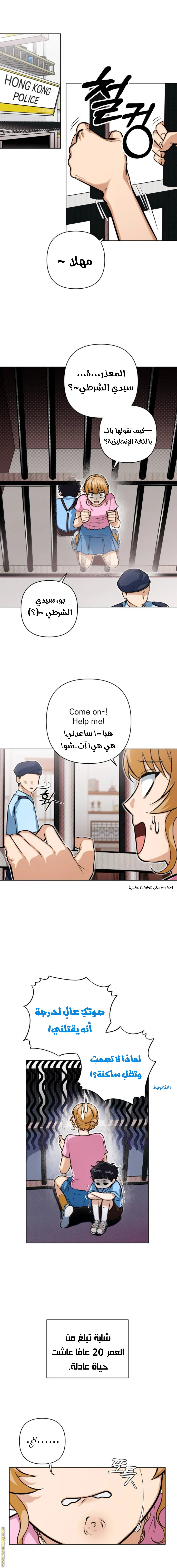 الصفحة 17