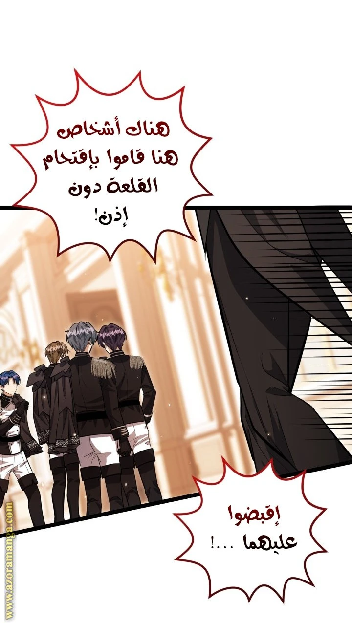 الصفحة 24