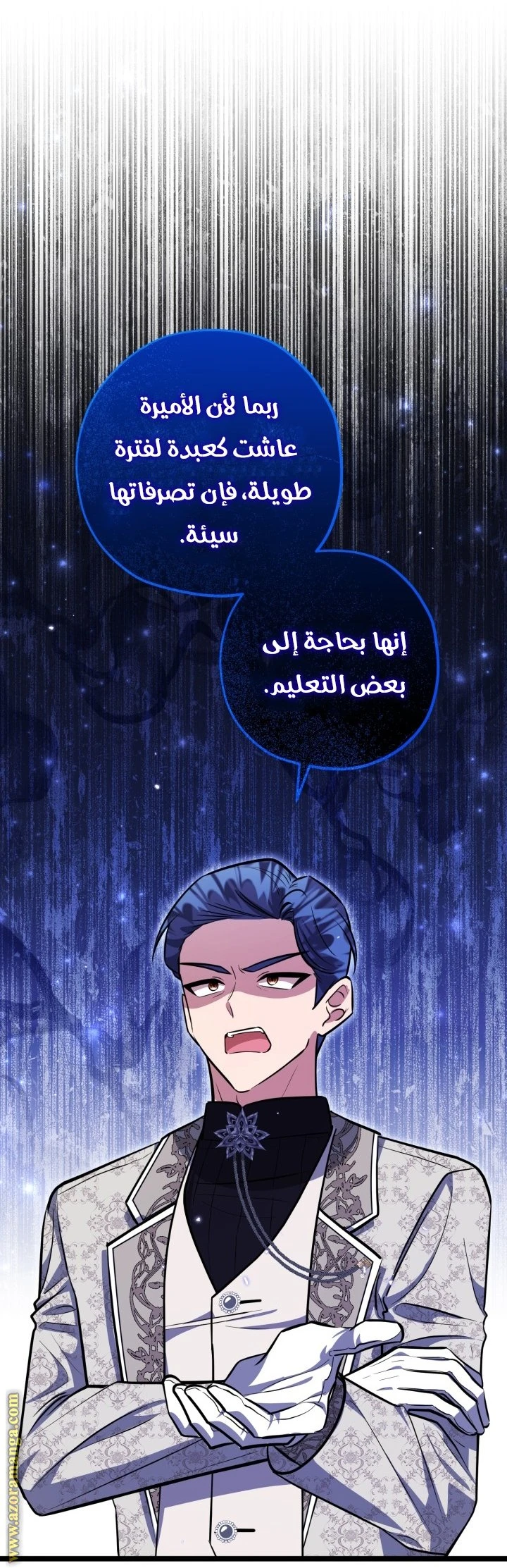 الصفحة 29