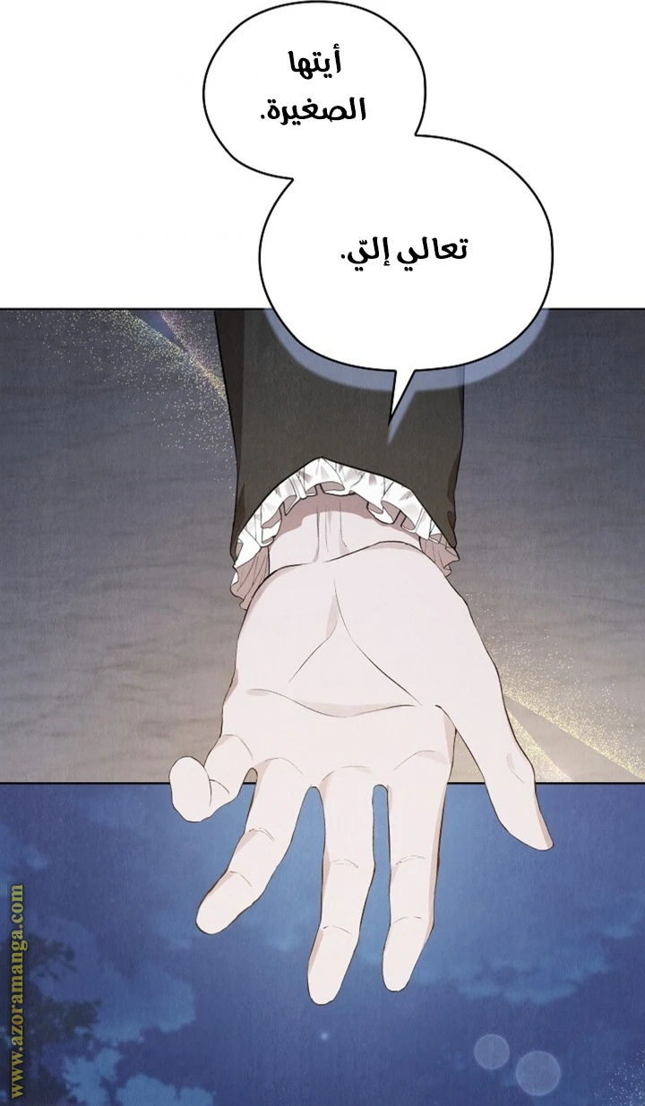 الصفحة 21
