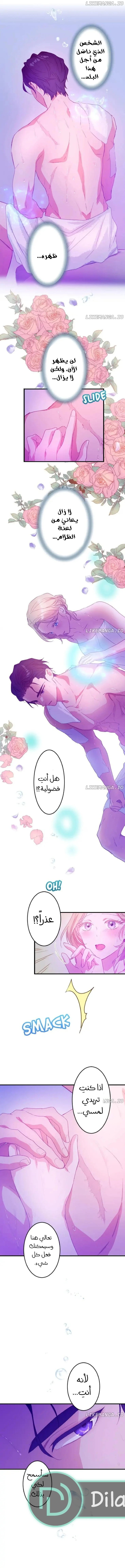 الصفحة 3