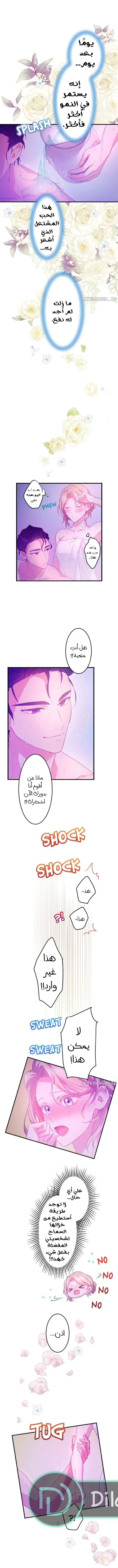 الصفحة 5
