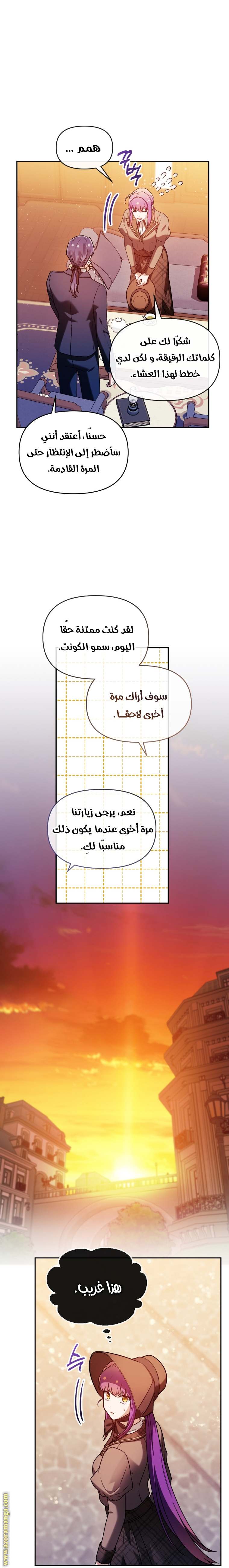 الصفحة 17