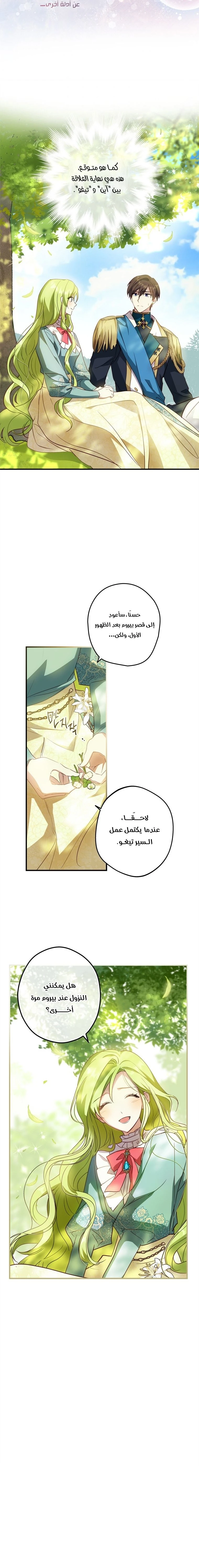الصفحة 19