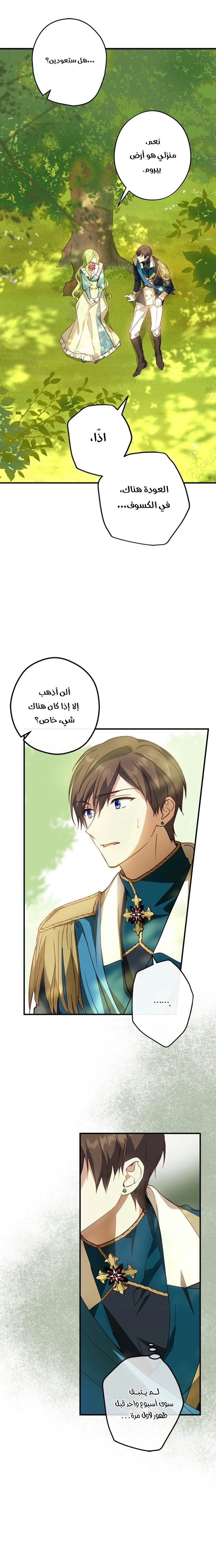 الصفحة 20