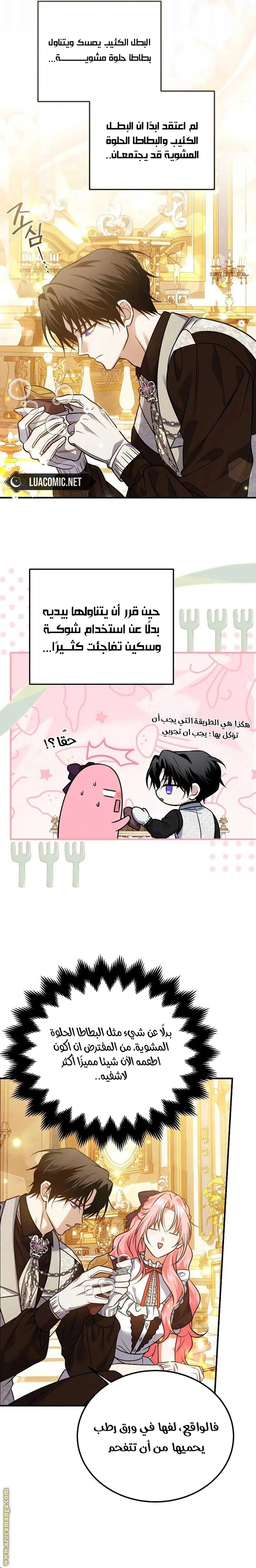 الصفحة 14