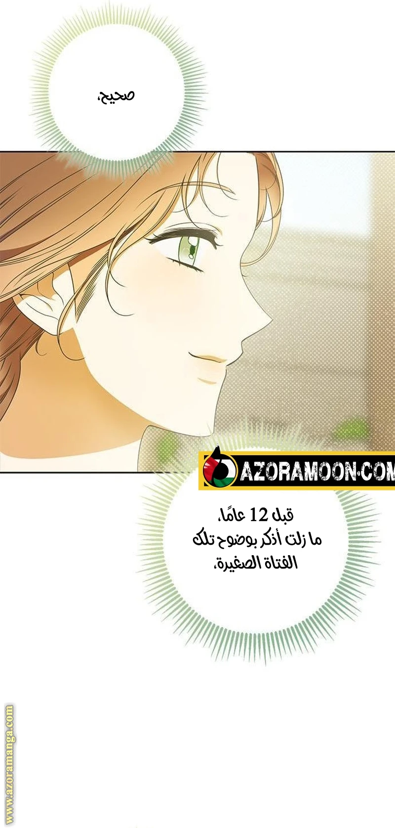 الصفحة 13