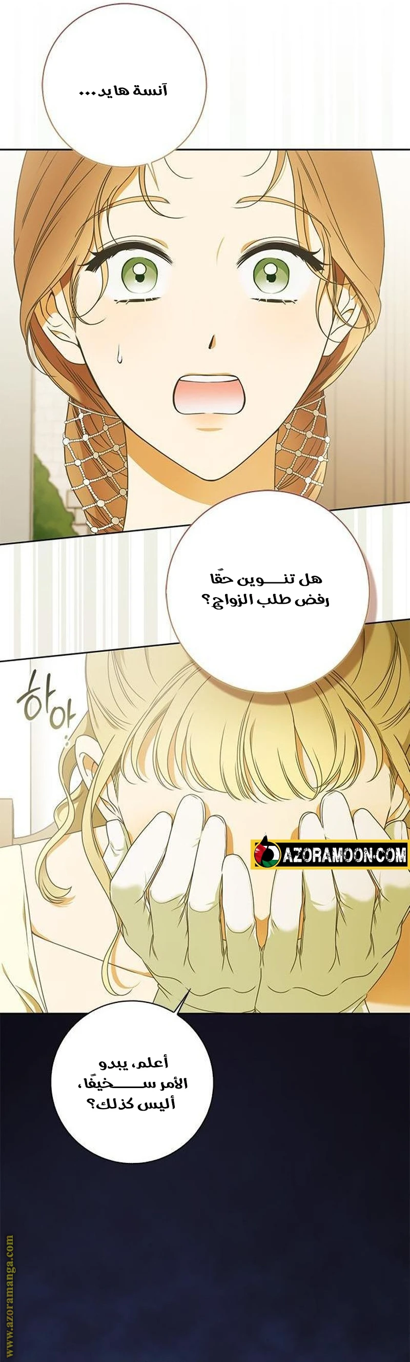 الصفحة 27