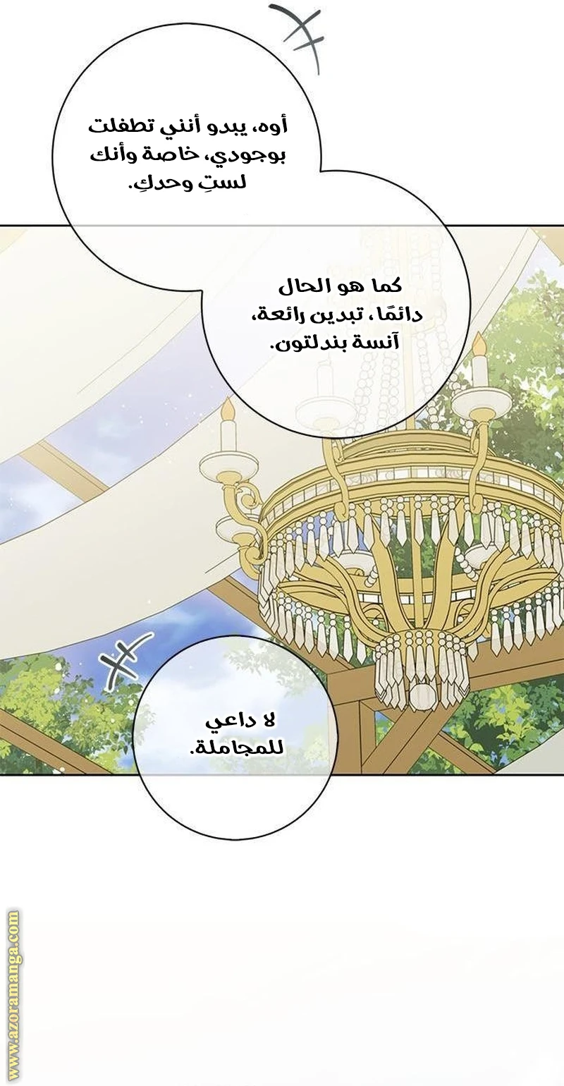 الصفحة 41