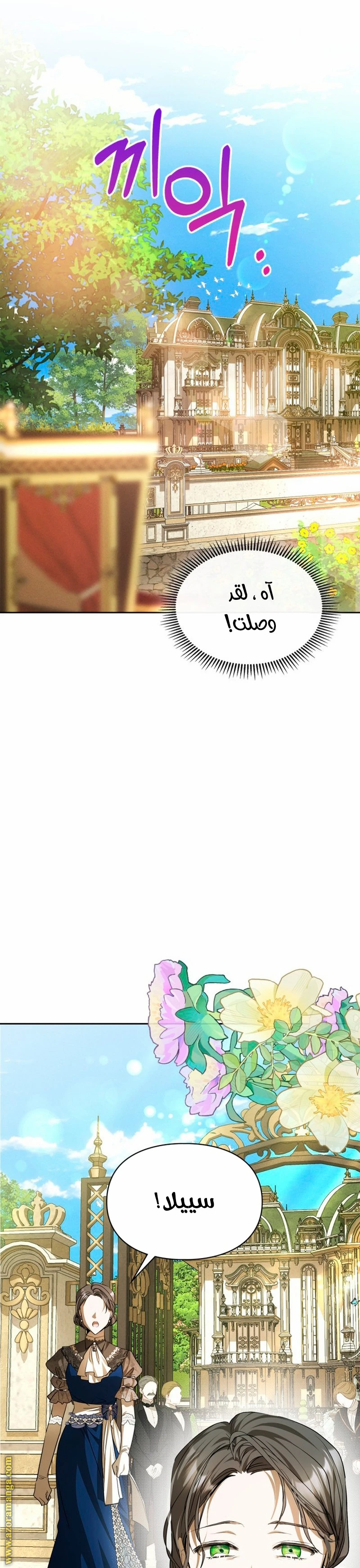 الصفحة 13