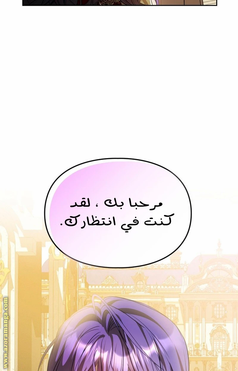 الصفحة 27