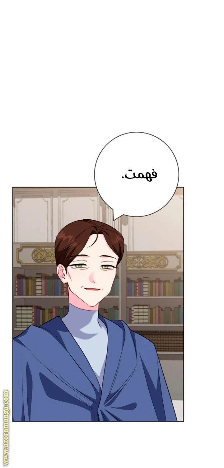 الصفحة 17