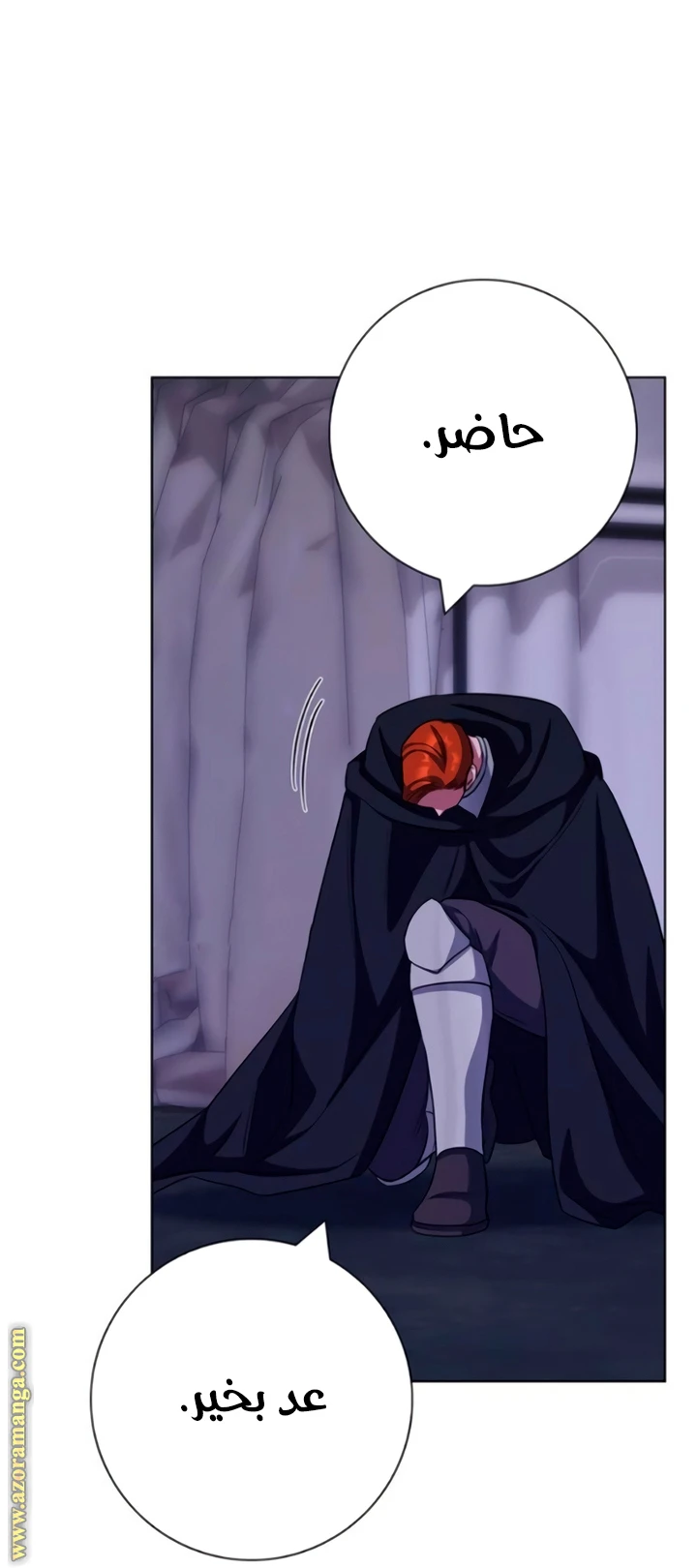 الصفحة 42
