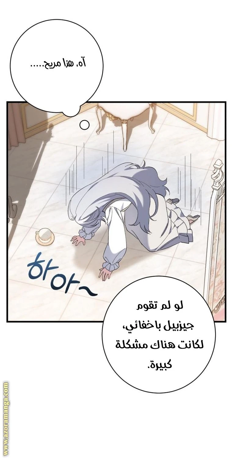 الصفحة 25