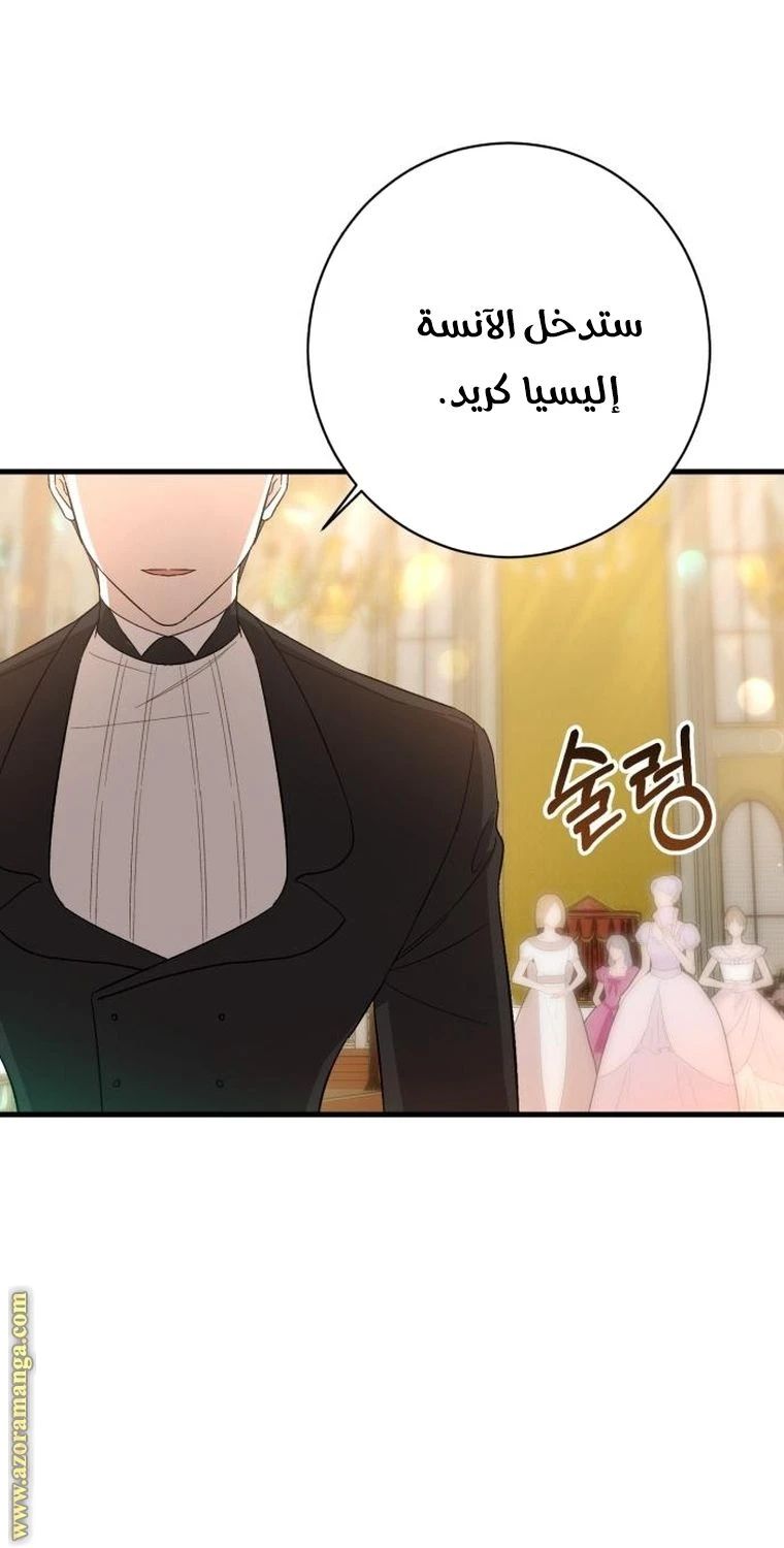 الصفحة 48