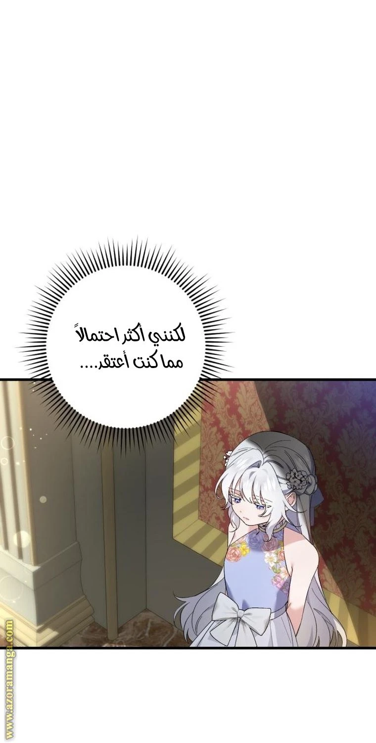 الصفحة 52