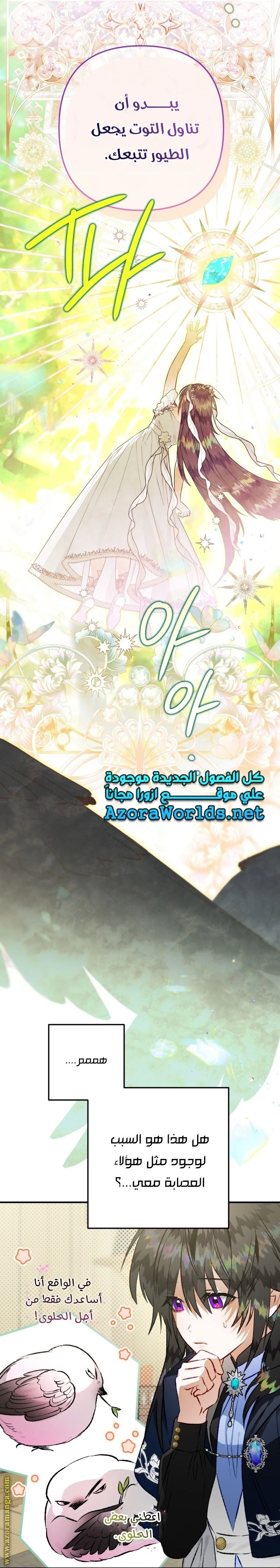 الصفحة 29