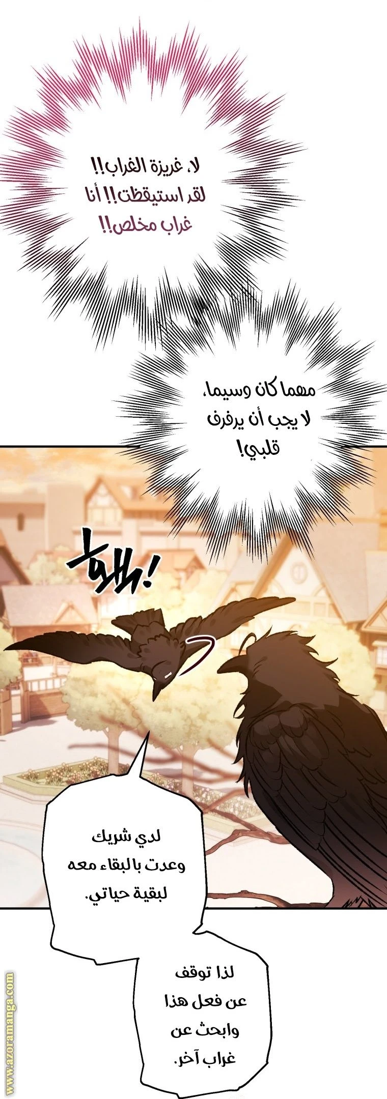 الصفحة 41